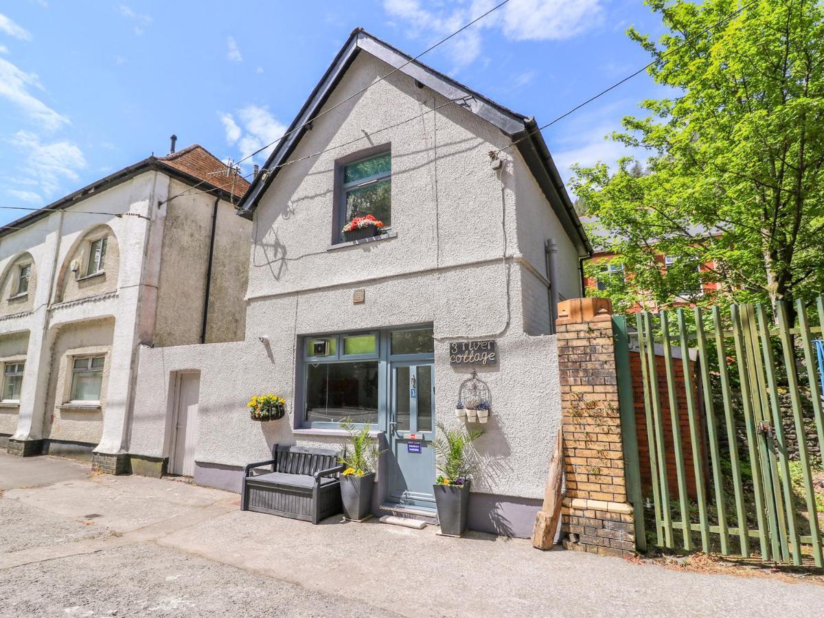 River Cottage Port Talbot Zewnętrze zdjęcie